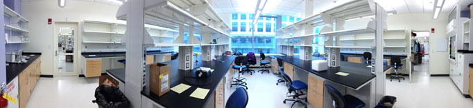 The empty lab in February