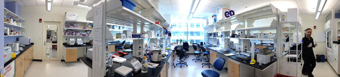 The lab in April, ready for experimentation